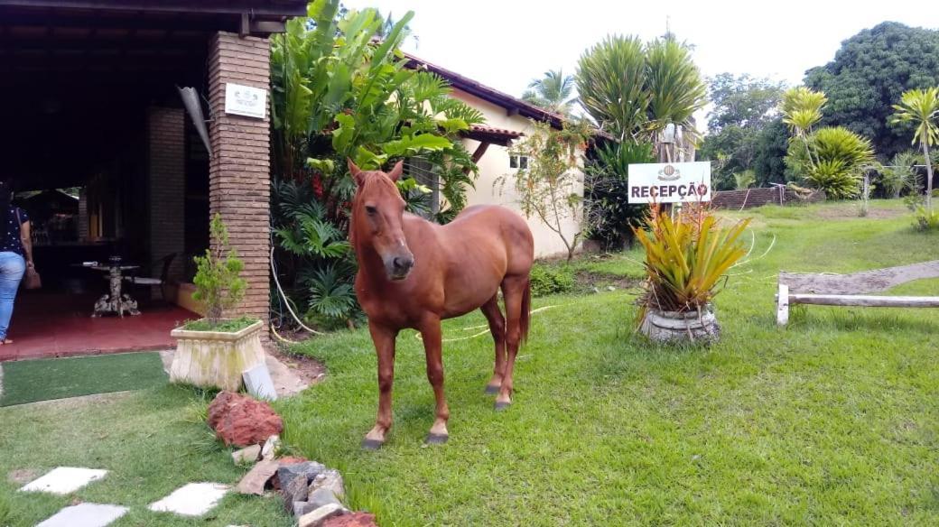 Hotel Fazenda Agua Da Prata Agri Turismo 카마사리 외부 사진